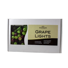 Load image into Gallery viewer, LED Green Grape 100 Light Set
